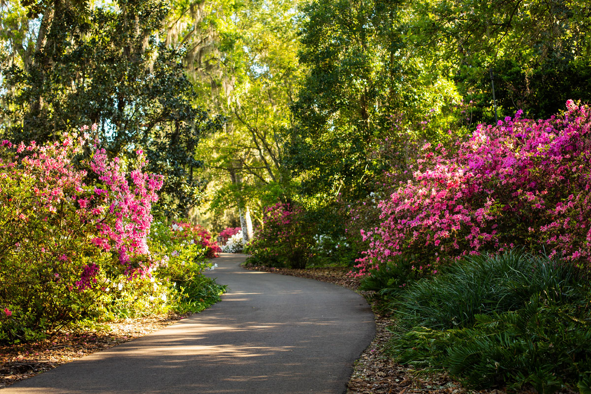 8 Reasons To Plan A Visit To Bok Tower Gardens Right Now | Travel Taste ...